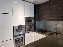 The Scotts Tower (D9), Condominium #581205751